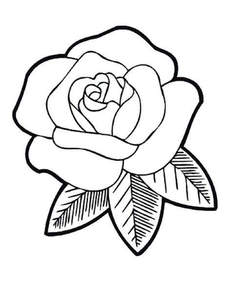 31 Contoh Gambar Bunga Mawar Hitam Putih Yang Wajib Diketahui