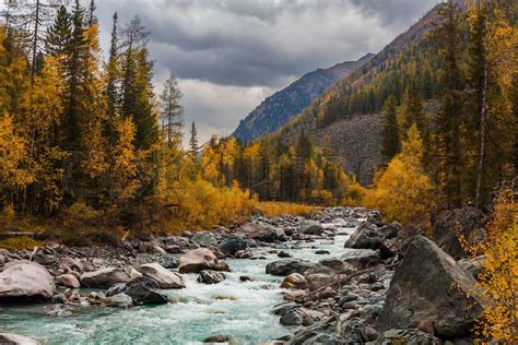 Beautiful Landscape With A View Of A Mountain Stream In The Fall
