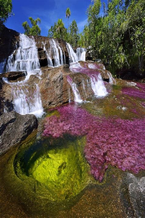 Cano Cristales Is Worlds Most Beautiful Five Color River Video Cano