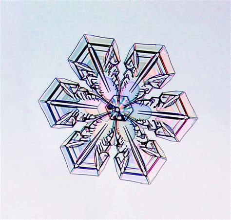 Snowflakes Science Snowflakes Snow Crystal