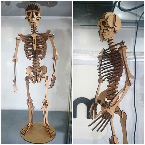 Ver más ideas sobre esqueleto humano, esqueleto, disenos de unas. Personalize.AM on Instagram: "Esqueleto humano em MDF. #Personalizeam #Manaus #Amazonas #MDF # ...