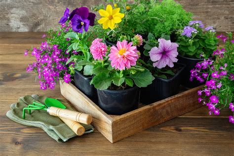 35 Jaw Dropping Diy Container Garden Ideas That Will Transform Your