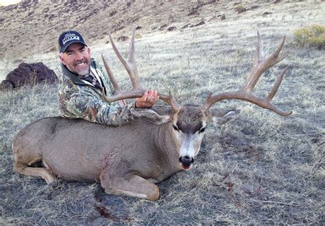 The Best Time For Mule Deer Gohunt