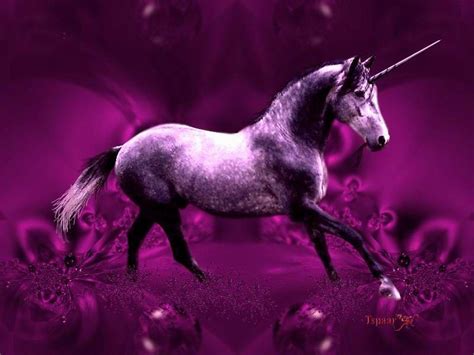 Purple Unicorn Beautiful Purple Unicorn Abstract Animals Others