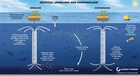 Ocean Visions Artificial Upwelling And Downwelling