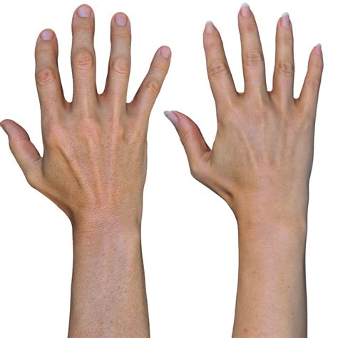 Female Hand Reference For 3d Modeling To Model Symmetrically Select One
