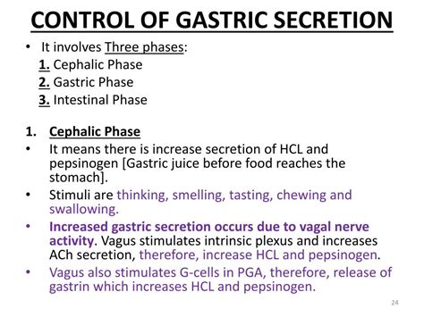 Ppt Gastric Secretion Powerpoint Presentation Free Download Id2791560