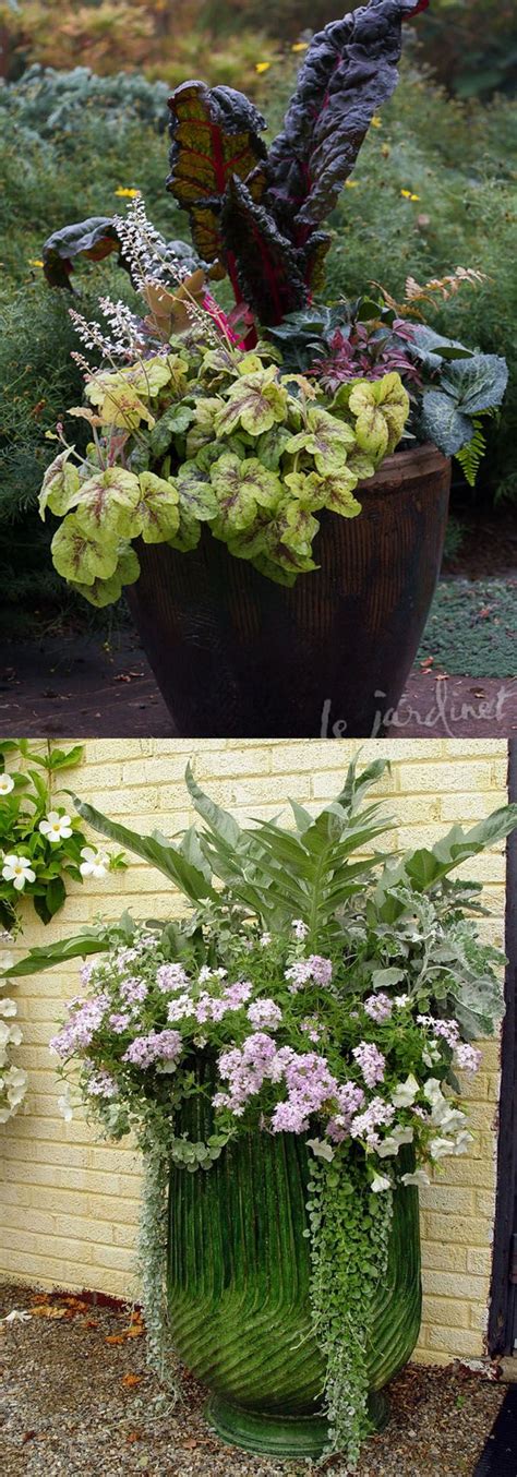 24 Stunning Container Garden Planting Ideas Container