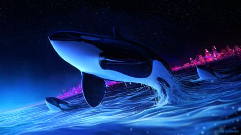 Download and use 30,000+ 4k wallpaper stock photos for free. Fondos pantalla orca dibujos Wallpaper 4k dolphin night orca whale digital art 4k artist ...