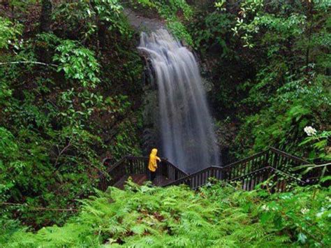 7 Secret Waterfalls In Florida You Had No Idea Were There Places In