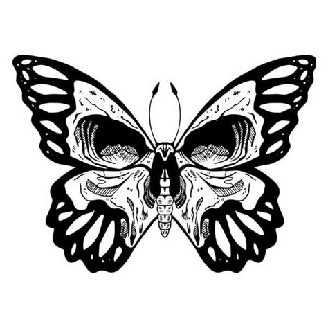 A Black And White Drawing Of A Butterfly With Skulls On Its Back Wings