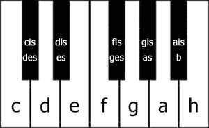 Beschriftete tastatur (siehe oben) zum ausdrucken. Klaviatur: Die schwarzen Tasten | Noten lernen ...