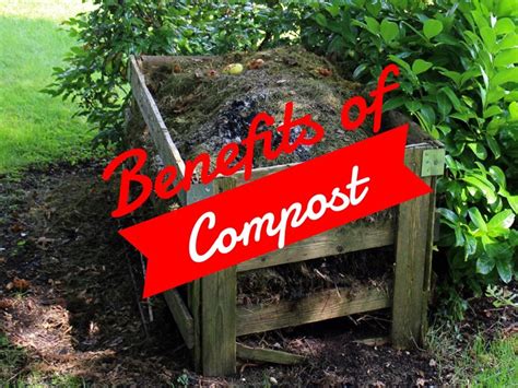 Benefits Of Compost How To Compost