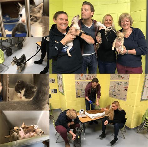 He and our other dog, rigby, are best friends and have been inseparable since we got pepper home. Volunteering at the Toronto Humane Society 2018 | The ...