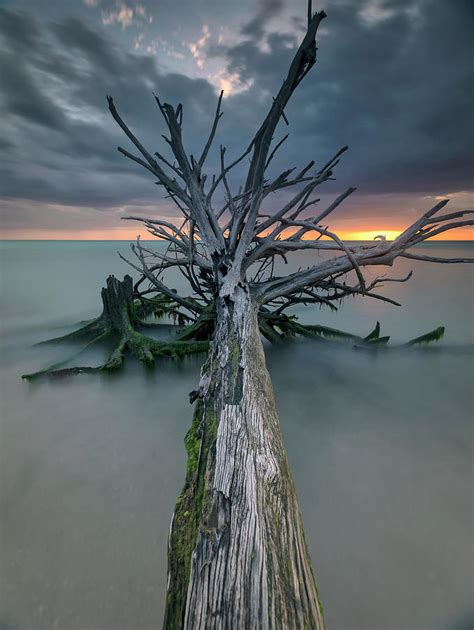 Sunset Wood Photograph By Chris Haverstick Fine Art America