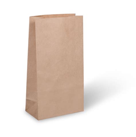 Brown Fine Kraft Paper Bags Food X X In Eco Bags India Paper Bags Burger Box Pizza Box