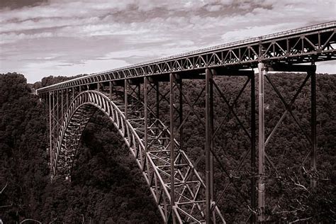 The Bridge Is High Above The Trees In Black And White