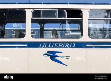 Bluebird Logo On W Alexander And Sons Ltd Vintage Bus Scotland Uk