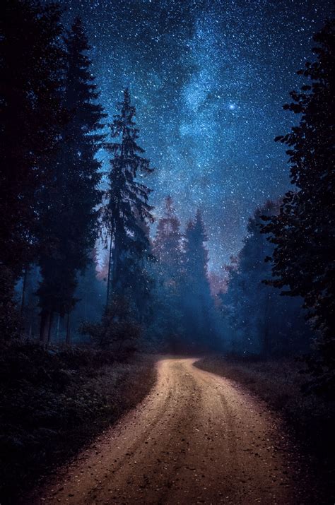 4k Road Forest Night Wallpapers High Quality Download Free