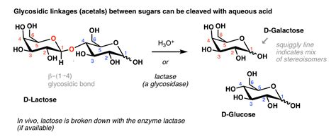 Key Reactions Of Sugars Glycosylation And Protection