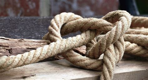 Free Picture Wood Knot Rope Tied