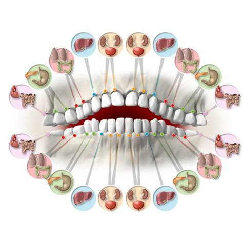 Clinica Mima OdontologÍa HolÍstica Neurofocal