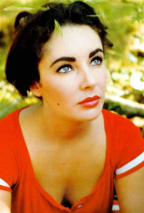 Elizabeth Taylor The Beauty And The Brow Beauty Shall Save The World