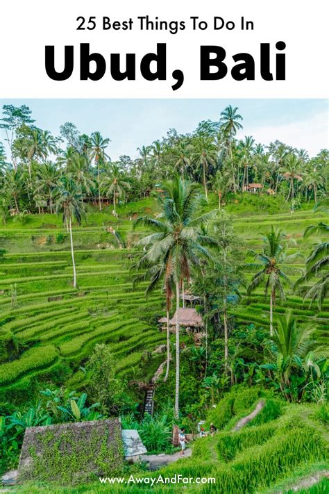 25 Best Things To Do In Ubud Bali Away And Far