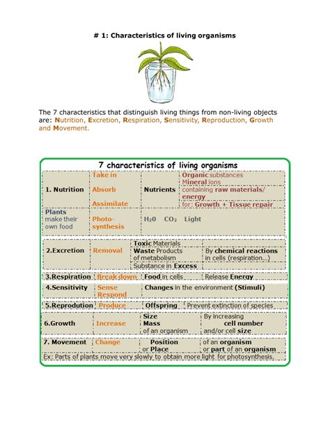 Classification Of Living Things Biology Notes Igcse 2014 熱帯動物ジャングルゼブラ