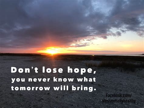 Hope Quote Positive Future Hope Quotes Dont Lose Hope What About