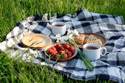 Picnic In The Park Featuring Park Picnic And Picnic Blanket High