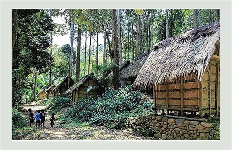 15 Fakta Suku Baduy Banten Yang Jarang Diketahui Orang Cilegon Hills
