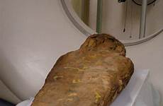scanner remains mummies carle valuable