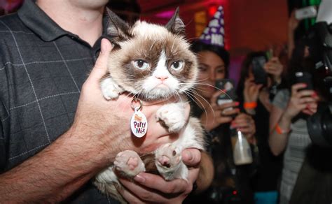 Movie Star Grumpy Cat Has Some Life Advice For You