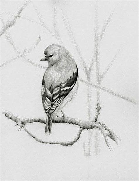 Pin By Annie Kosh On My Printables Transfers Cliparts Box Bird Art