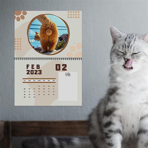 Cat Butthole Calendar Funny Calendar Month Cat Balls Calendar With Room For Notes