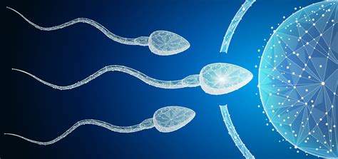 Sperm Health 10 Things That Decrease Sperm Fertility The Pulse