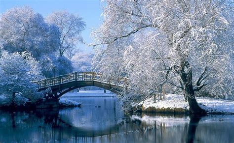 1 Beautiful Snow Scene Winter Wonderland Pinterest