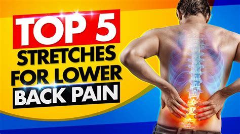 Eliminate Or Relieve Lower Back Pain With These Top 5 Stretches Youtube
