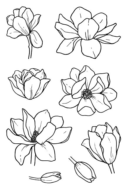 Magnolia Jane S Doodles Flower Drawing Flower Art Flower Drawing