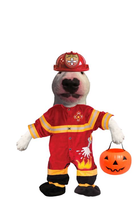 Le Halloween Fire Walter Has Arrived Dogelore