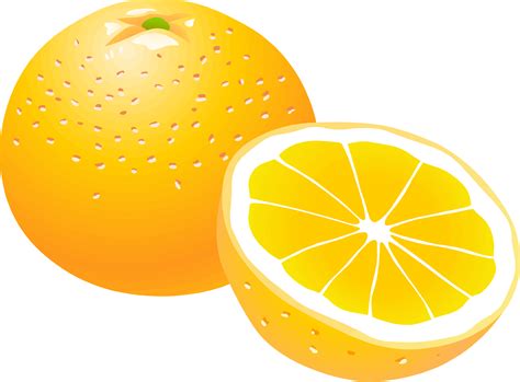 Yellow Orange Clipart 20 Free Cliparts Download Images On Clipground 2024
