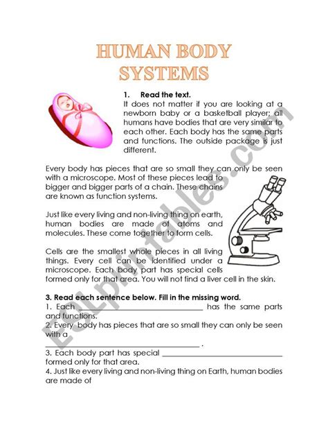 Human Body Systems Reading Comprehension Esl Worksheet By Glomar
