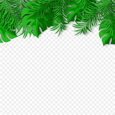 realistic tropical leaves vector hd images realistic tropical leaves border realistic