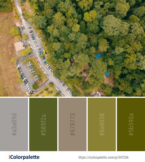 Color Palette Ideas From Photography Image Icolorpalette