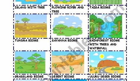 map reading geography worksheet