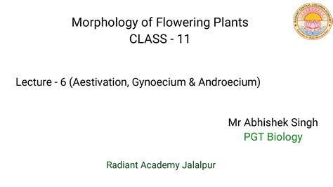 Morphology Of Flowering Plants Lecture 6 Youtube
