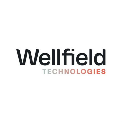Will Wellfield Technologies Wfldv And Defi Levy The Challenge To