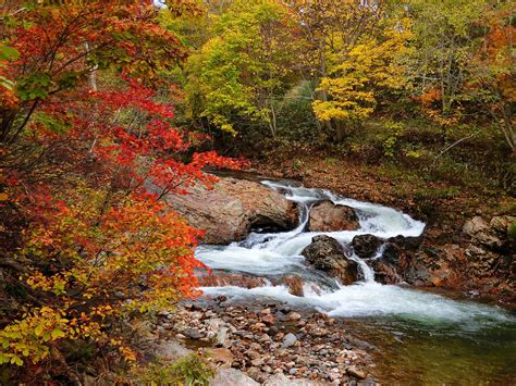 Japan's longest river, the shinano, arises in the mountains of central honshu and flows for 367 km (228 mi) to empty. river japan | River, Photo, Waterfall