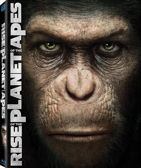 Orden Para Ver El Planeta De Los Simios - El Origen del Planeta de los Simios 2011 (BRrip) Latino | TorrentMoviesNet2
